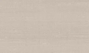 50506A Latus - Elephant Grey