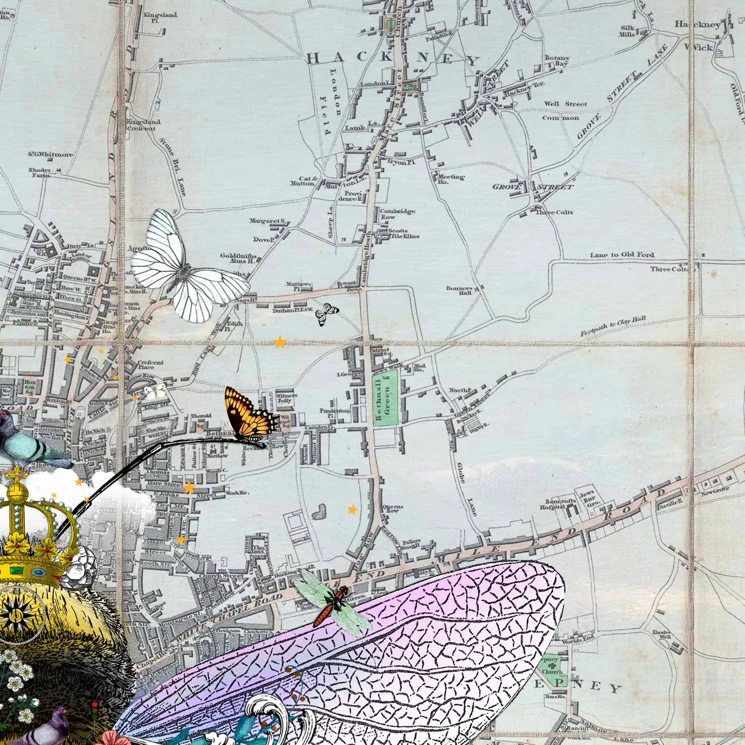 Carnabee - Art Print