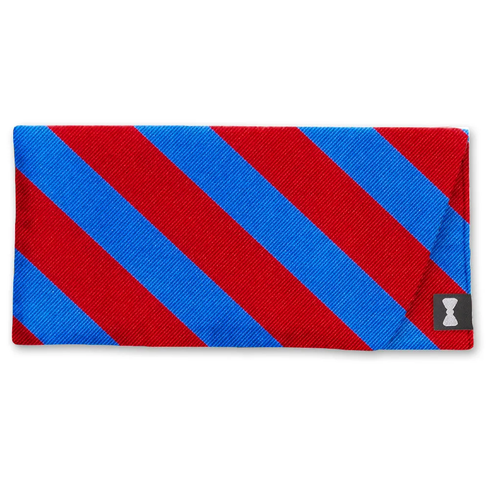Collegiate Royal and Red - Eyeglass Cases
