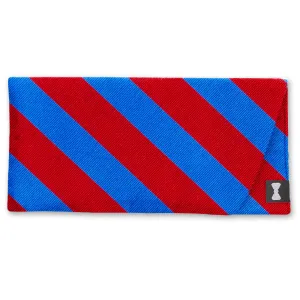 Collegiate Royal and Red - Eyeglass Cases