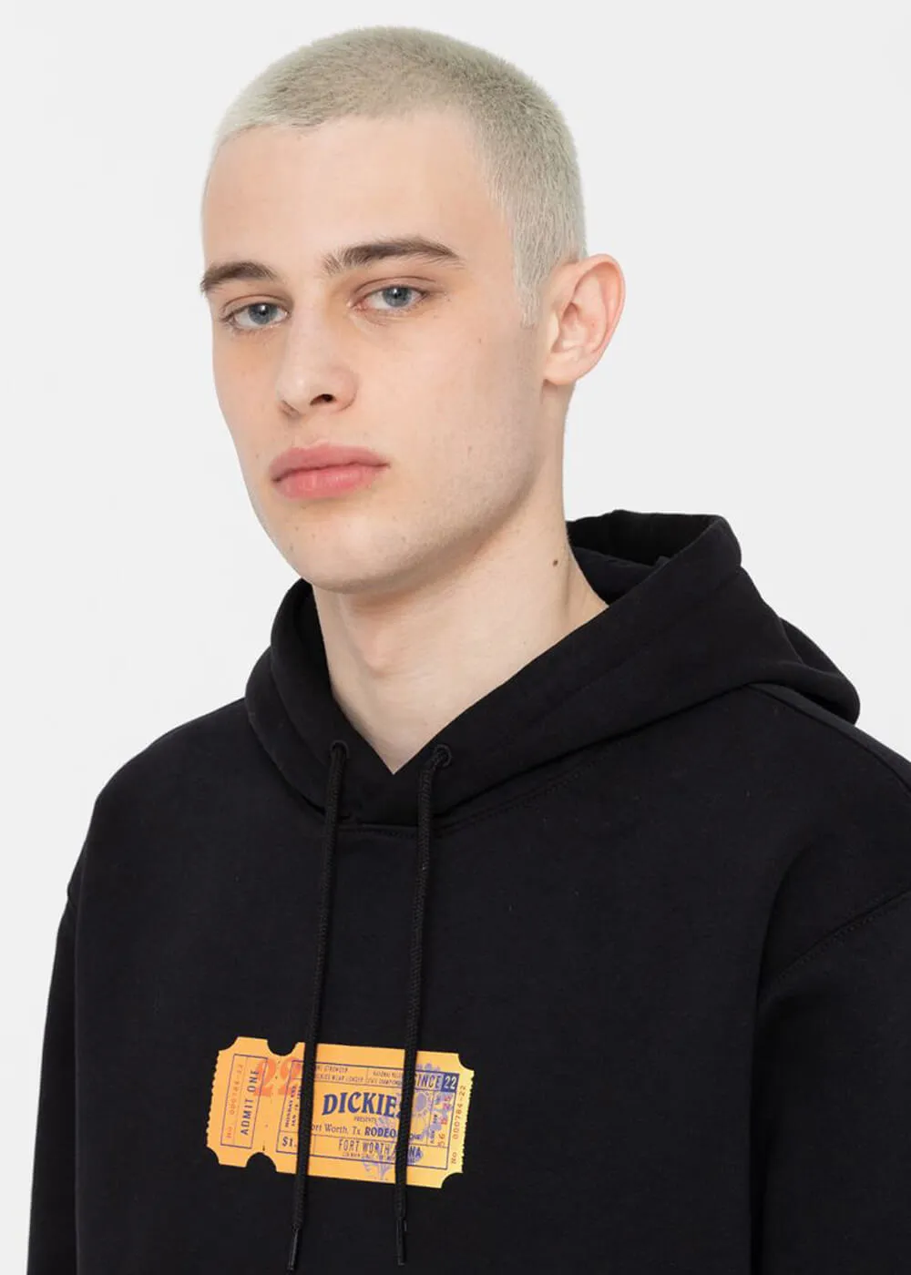 Dickies Mens Paxico Hoodie Black