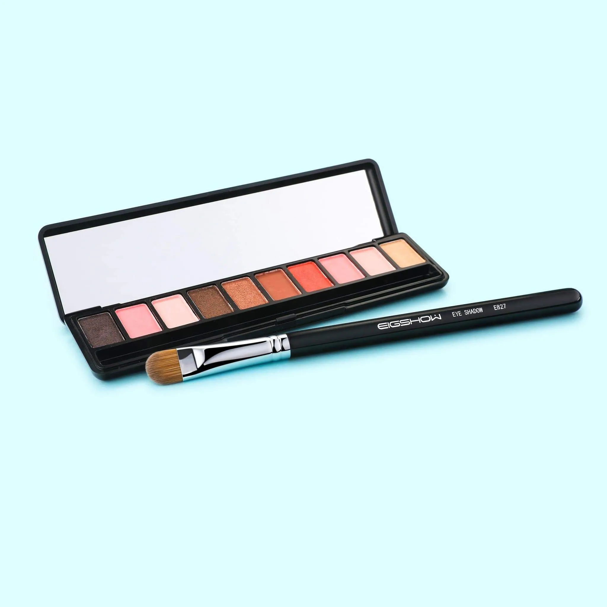 E827 - EYE SHADOW BRUSH