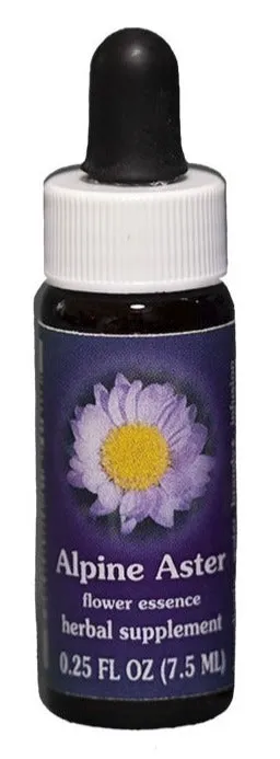 FES Range of Light - Alpine Aster - .25 fl oz