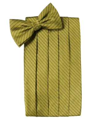 Gold Palermo Kids Cummerbund