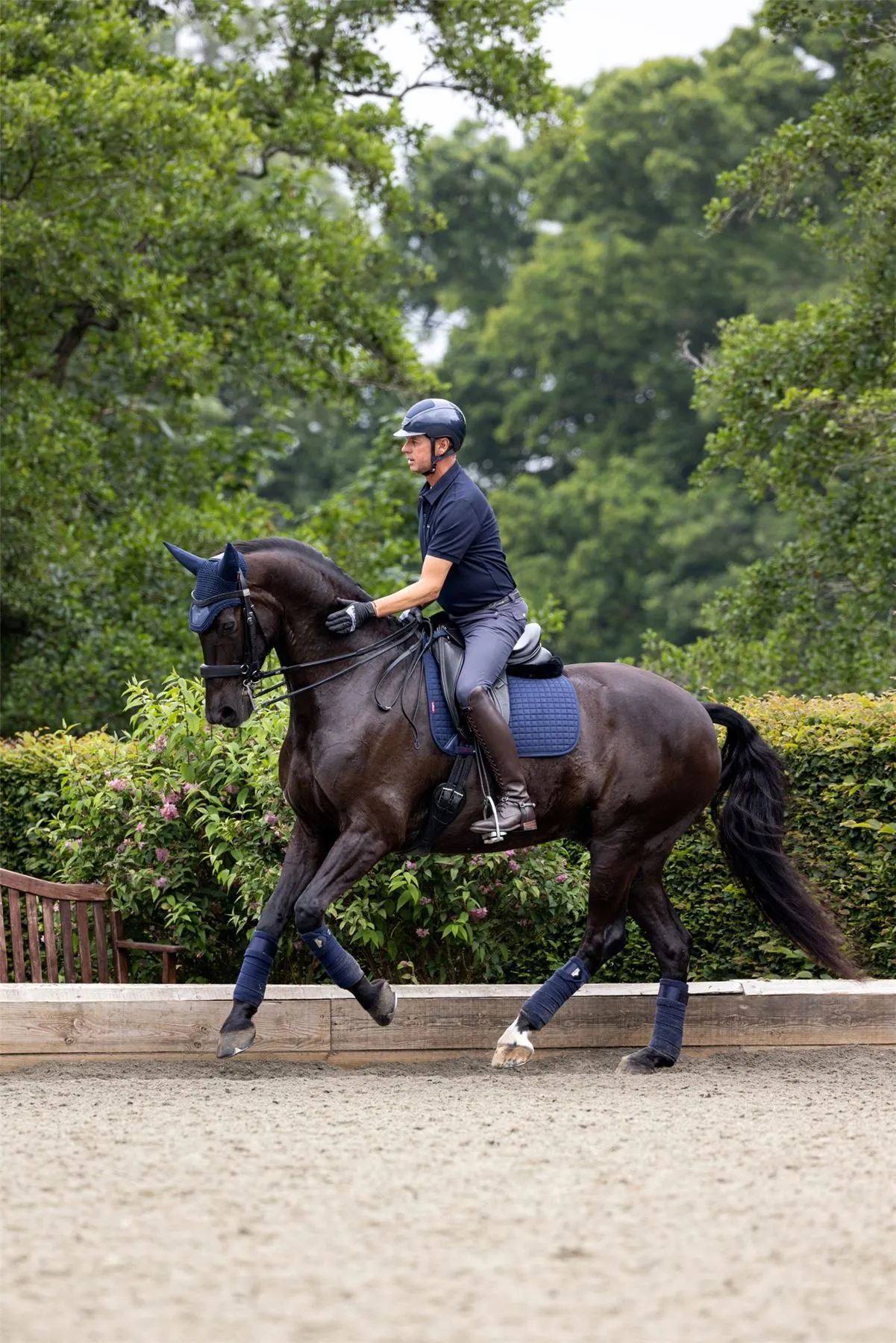 LeMieux Suede Dressage Square