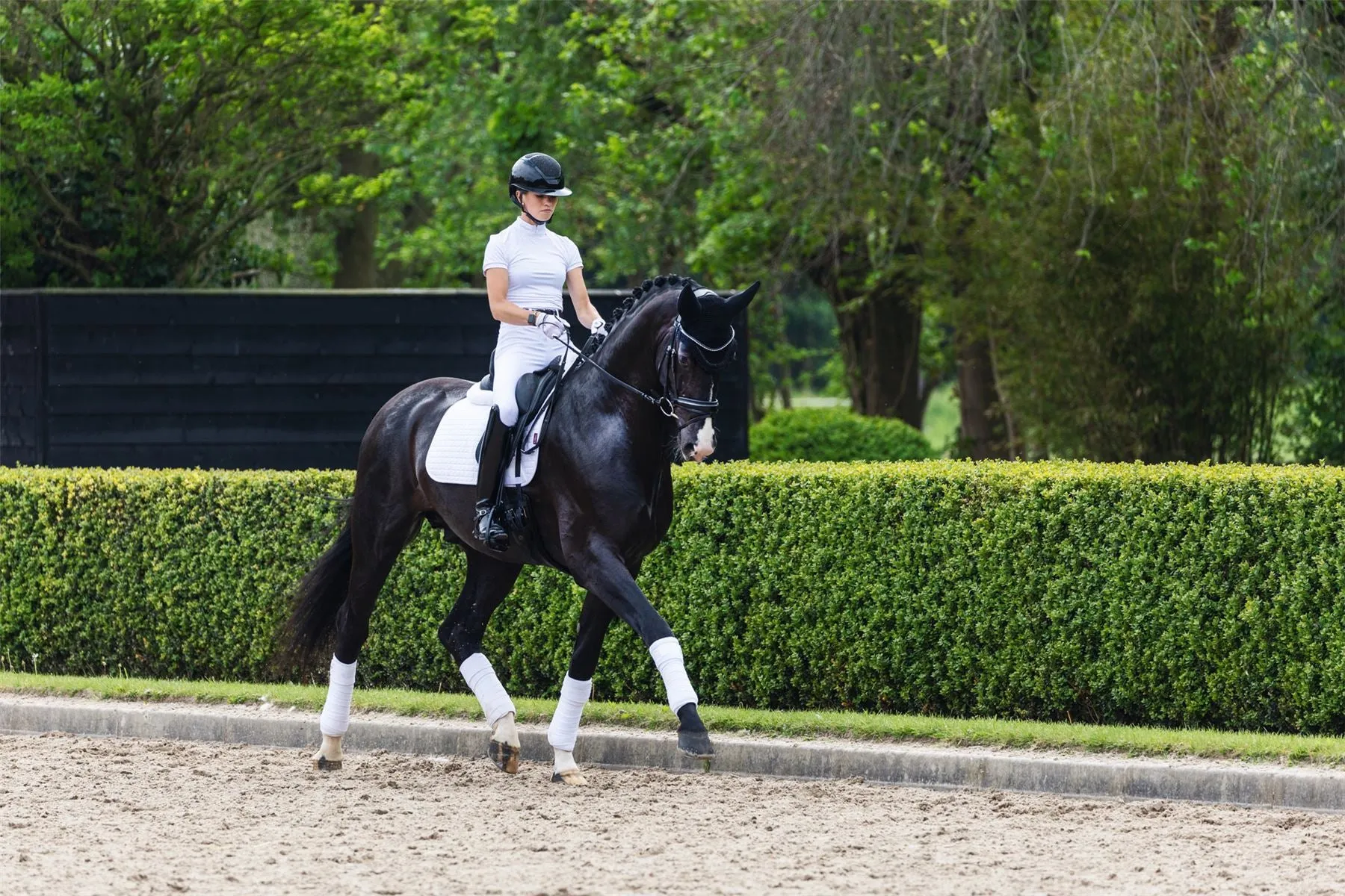 LeMieux Suede Dressage Square