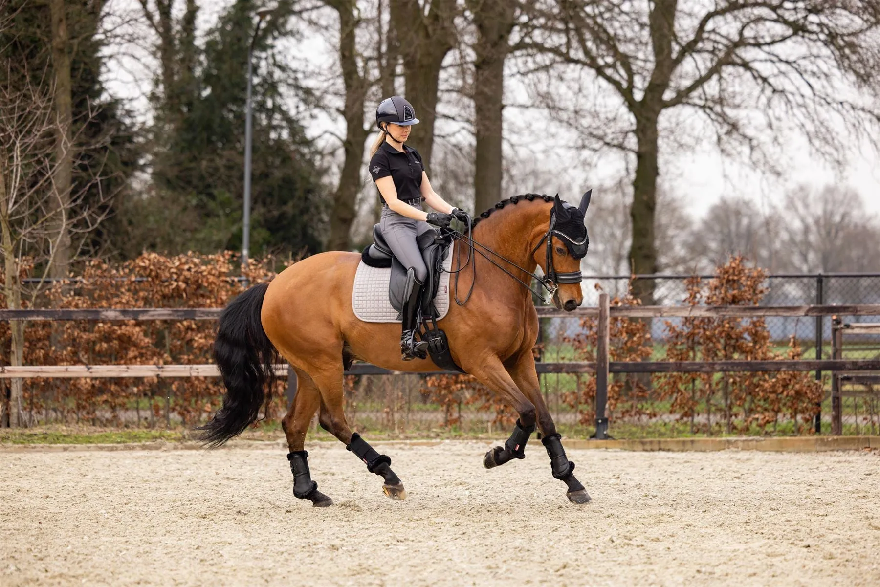 LeMieux Suede Dressage Square