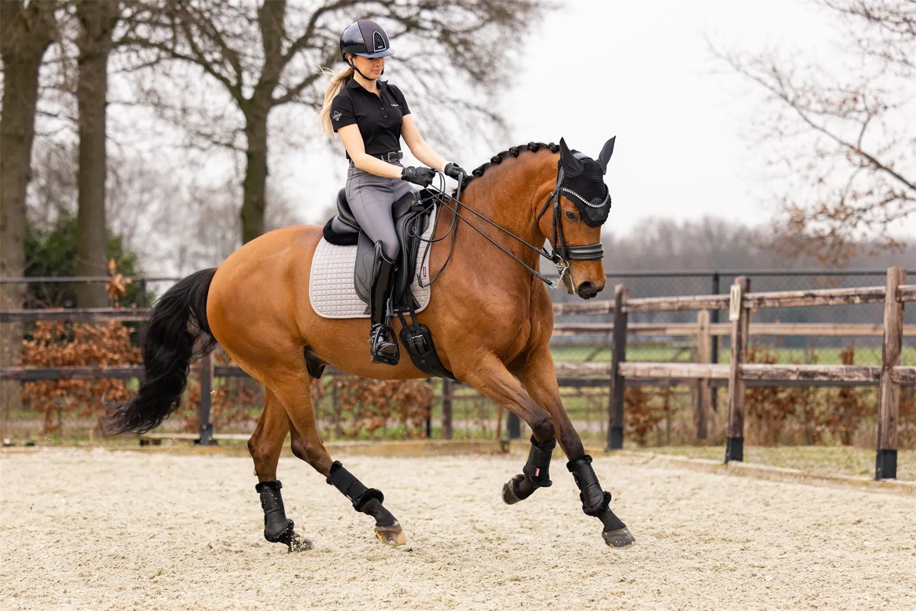 LeMieux Suede Dressage Square