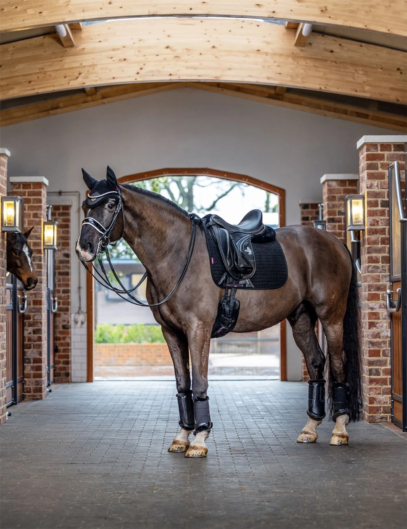 LeMieux Suede Dressage Square