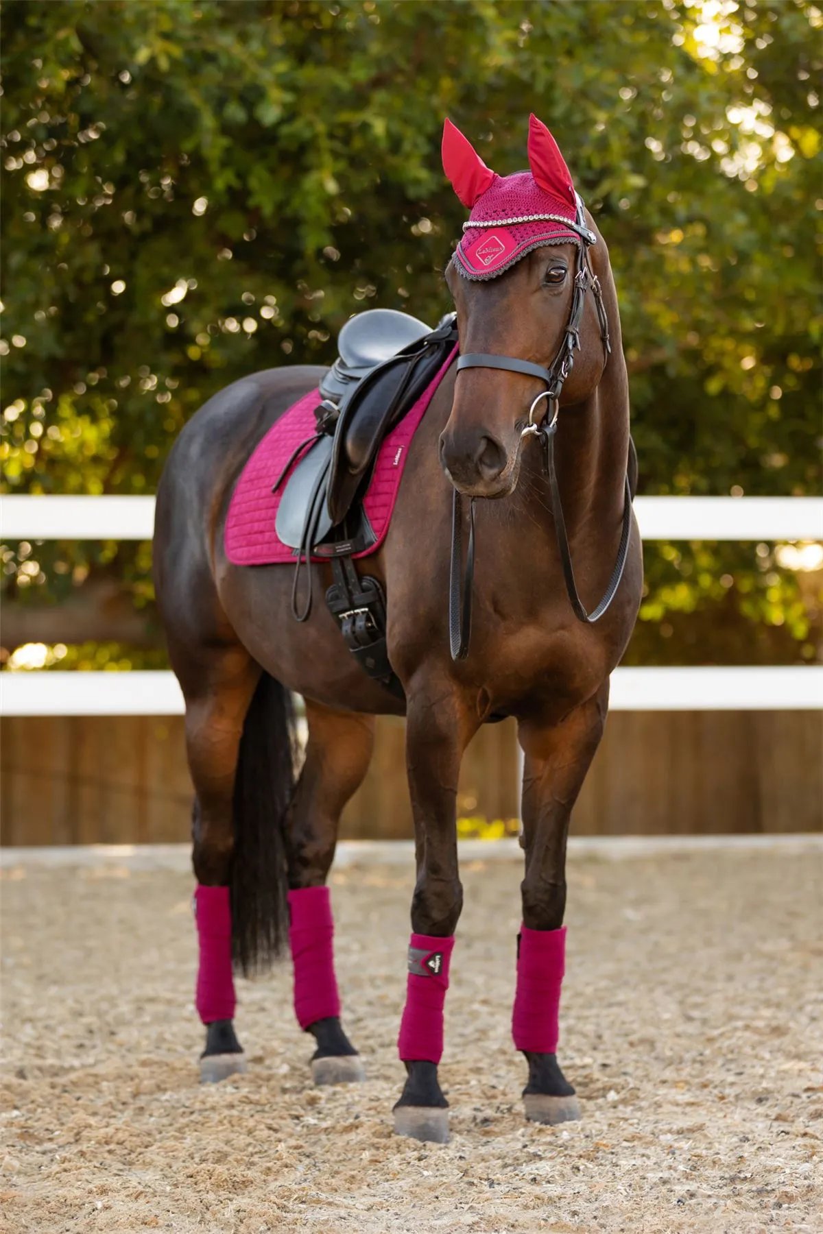 LeMieux Suede Dressage Square