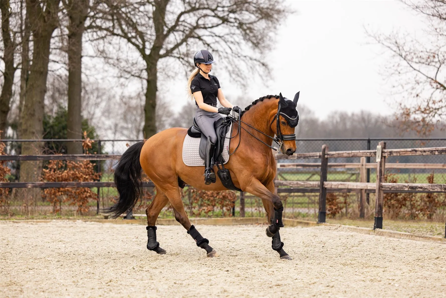 LeMieux Suede Dressage Square