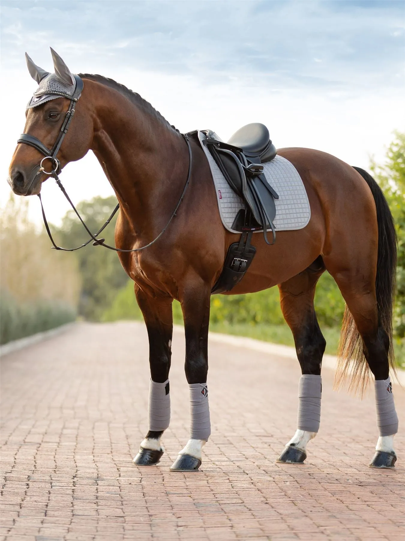 LeMieux Suede Dressage Square