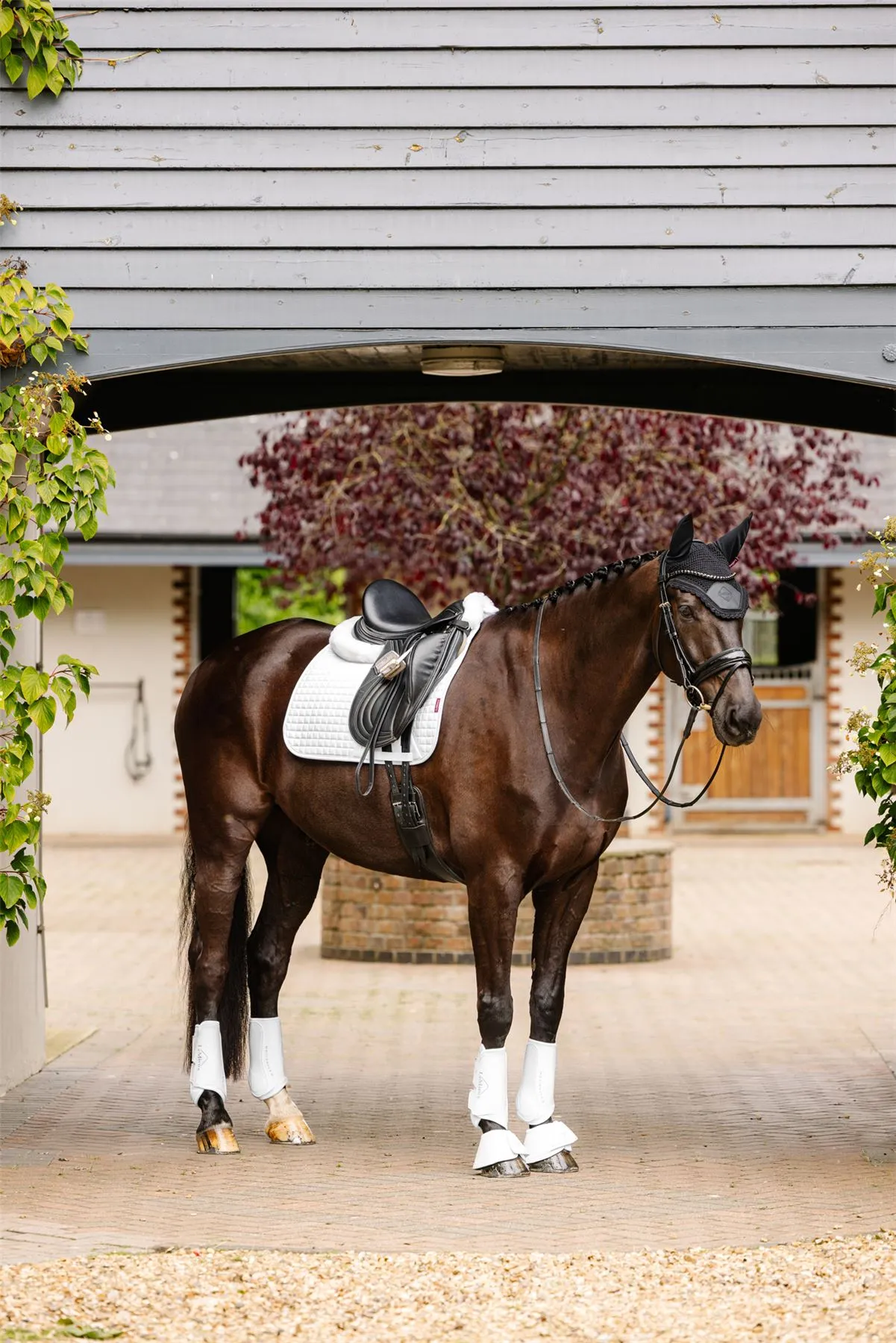 LeMieux Suede Dressage Square