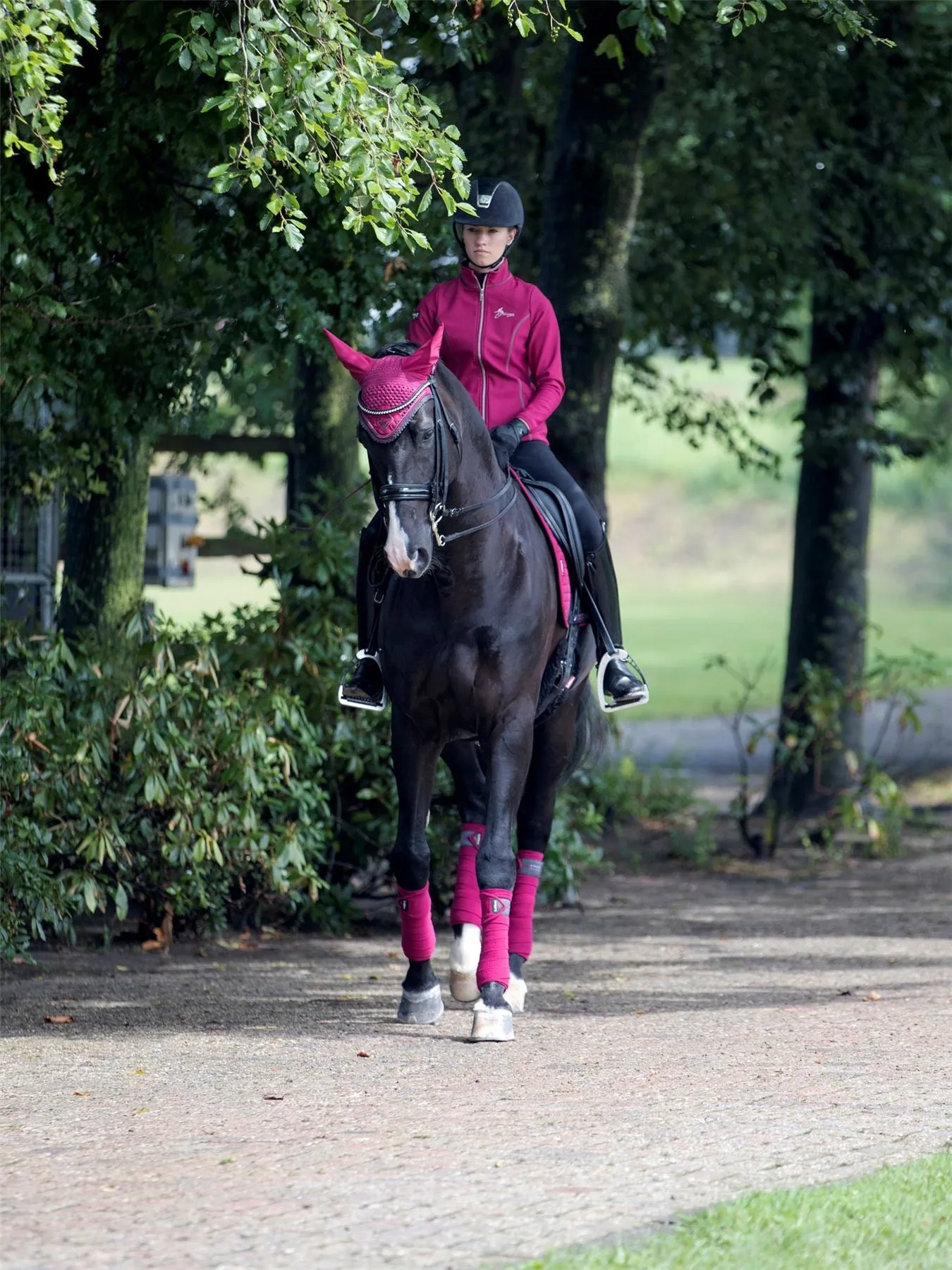 LeMieux Suede Dressage Square
