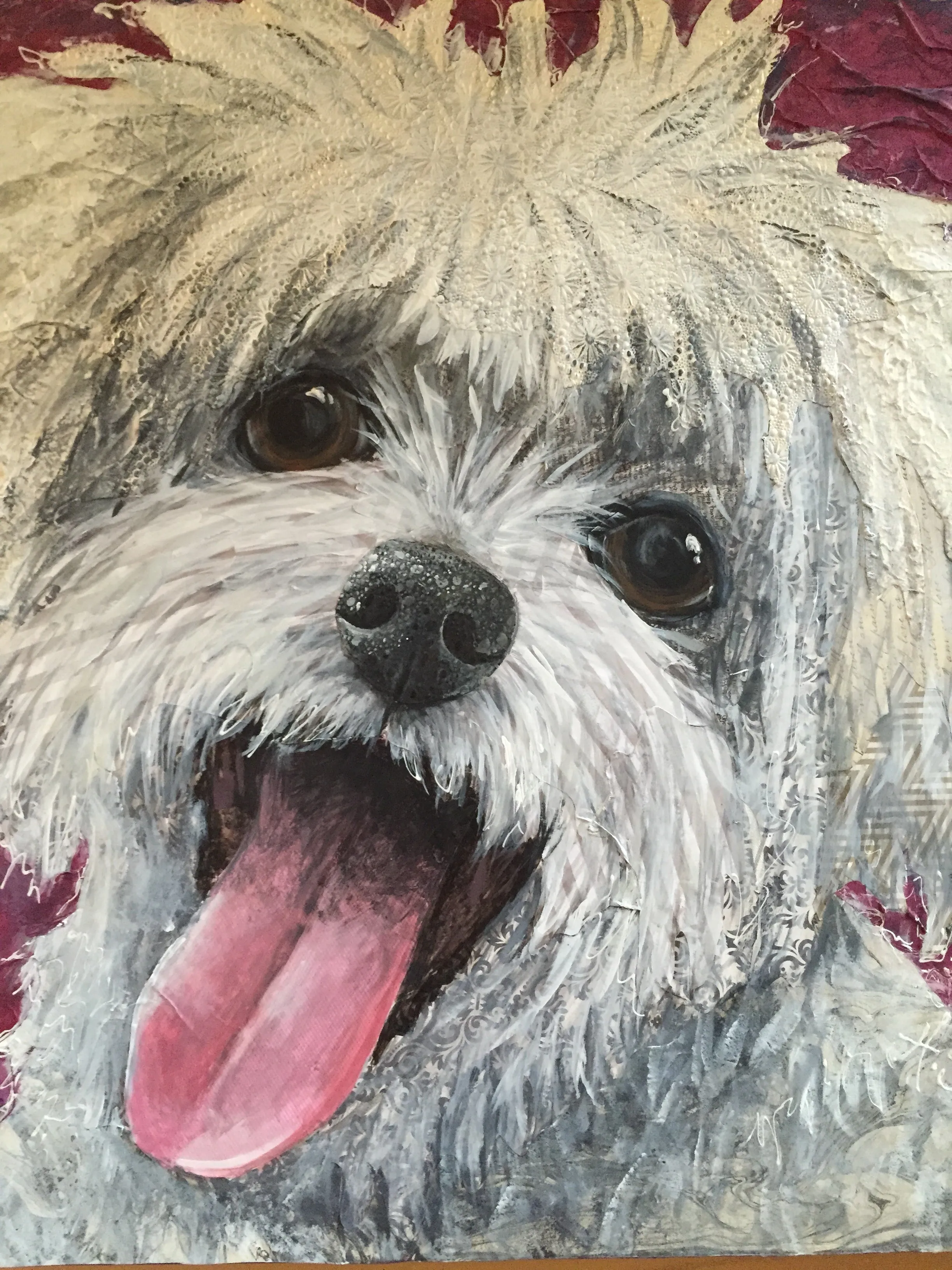 Louie - Maltese