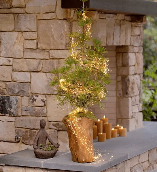 (Only$3.99 Today!!!)Firefly Bunch Lights