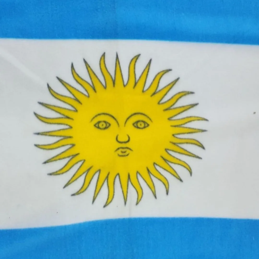 Polar Fleece Panel Flag Fabric 100cm