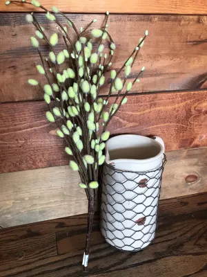 Pussywillow Bush