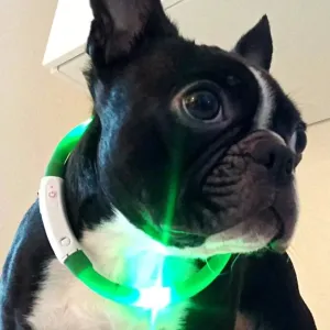 Rechargeable Light Up Dog Collar