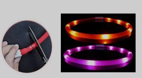 Rechargeable Light Up Dog Collar