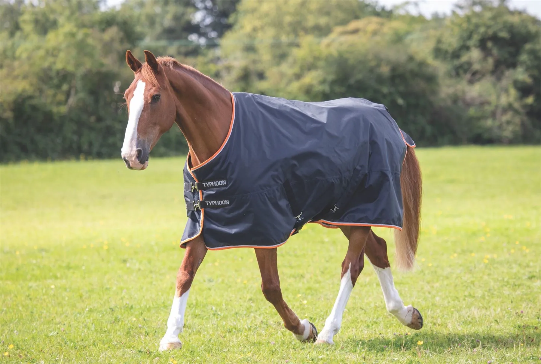 Shires Typhoon 200 Turnout Rug