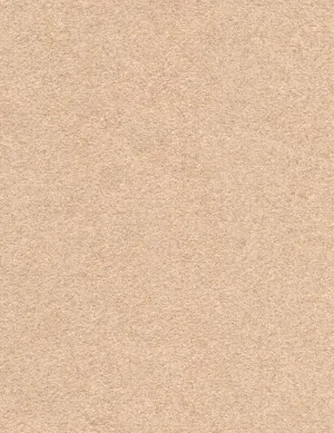 Suede Charade-raffia