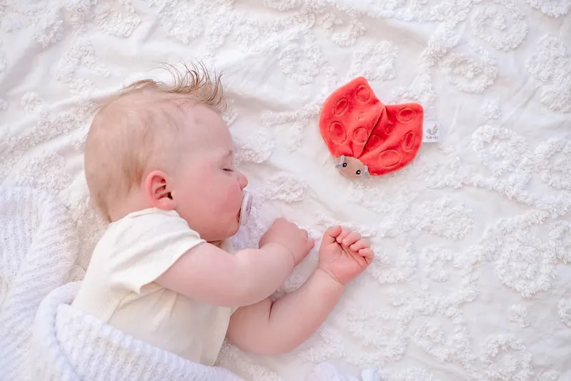 Tikiri Crinkle Scrunch Sensory Toy - Ladybug