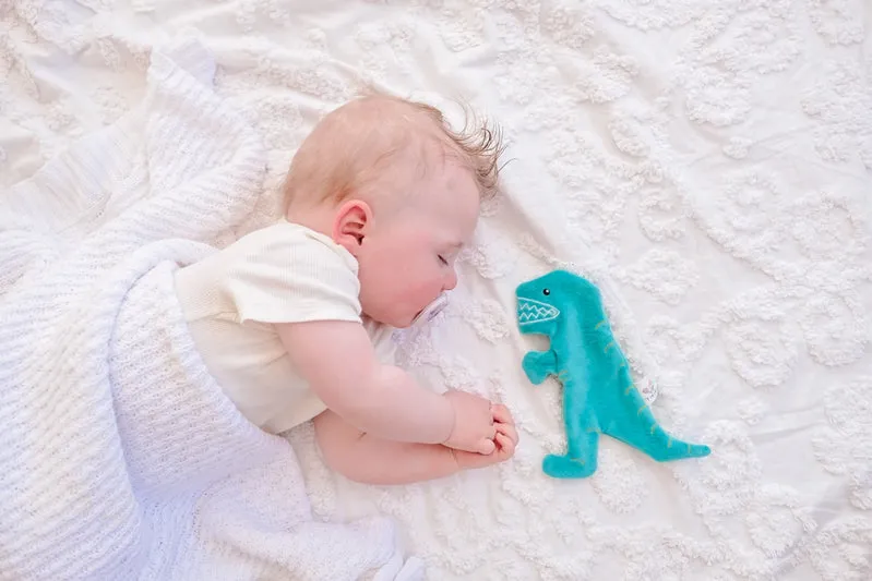 Tikiri Crinkle Scrunch Sensory Toy - T-Rex