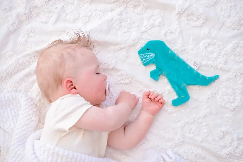 Tikiri Crinkle Scrunch Sensory Toy - T-Rex