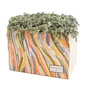 Unfilled Large Spring Flow Box